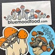 bluemoodfood's avatar