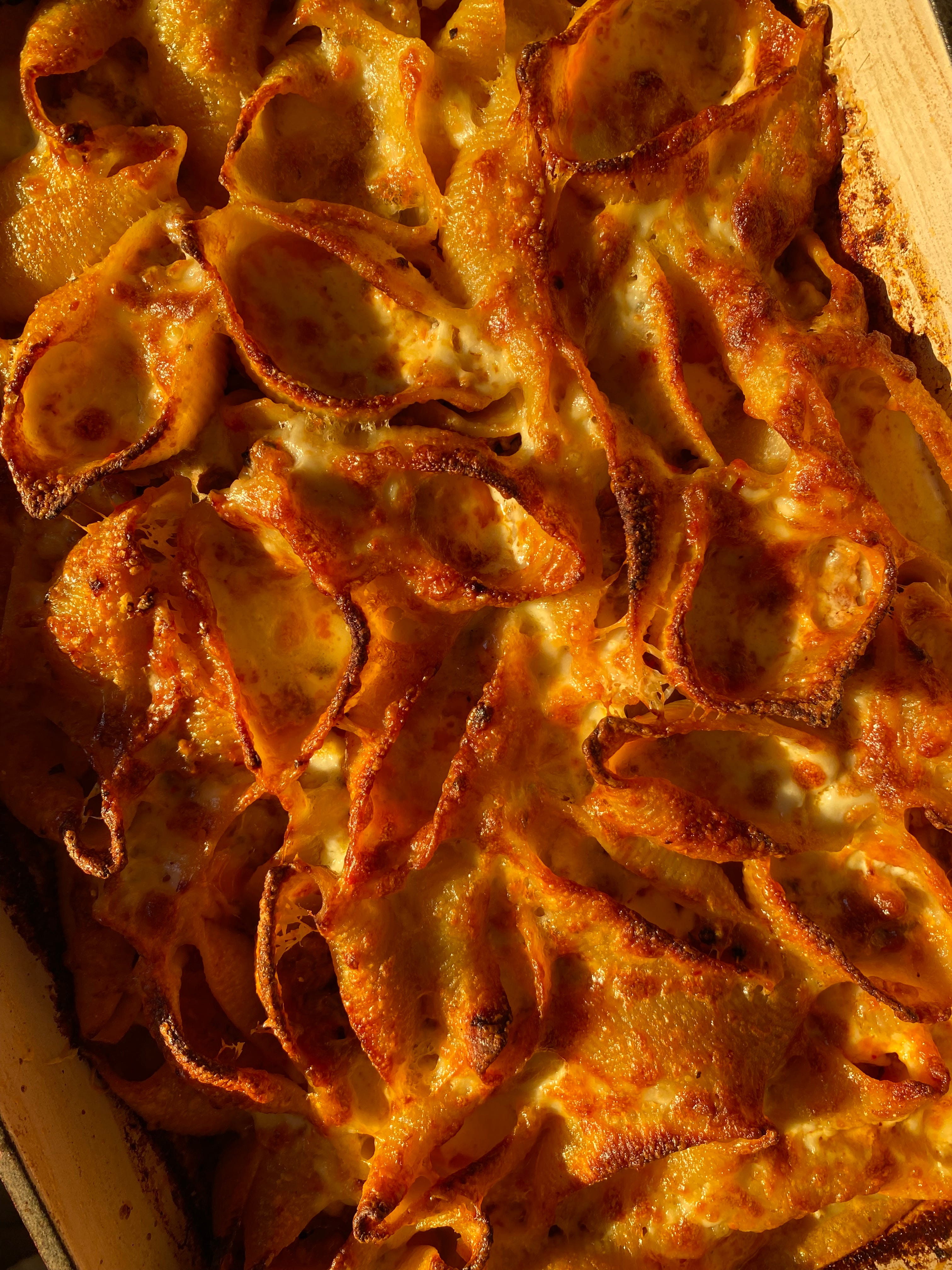 Spicy Lamb Ragu Baked Shells with Homemade Stracciatella