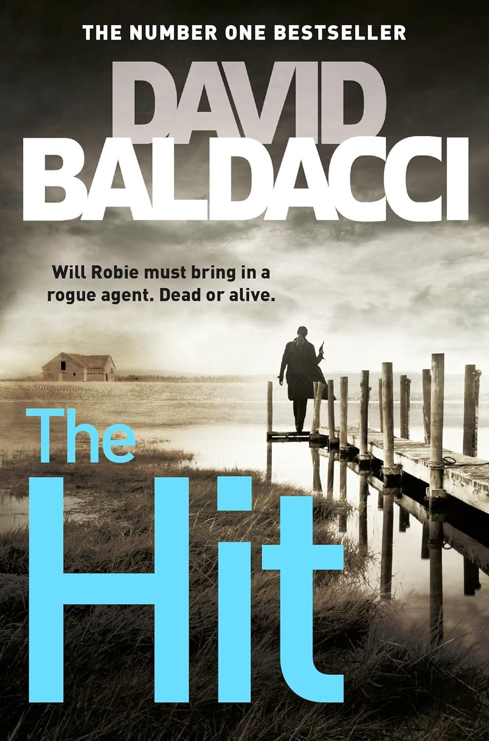 Book cover for The Hit by David Baldacci