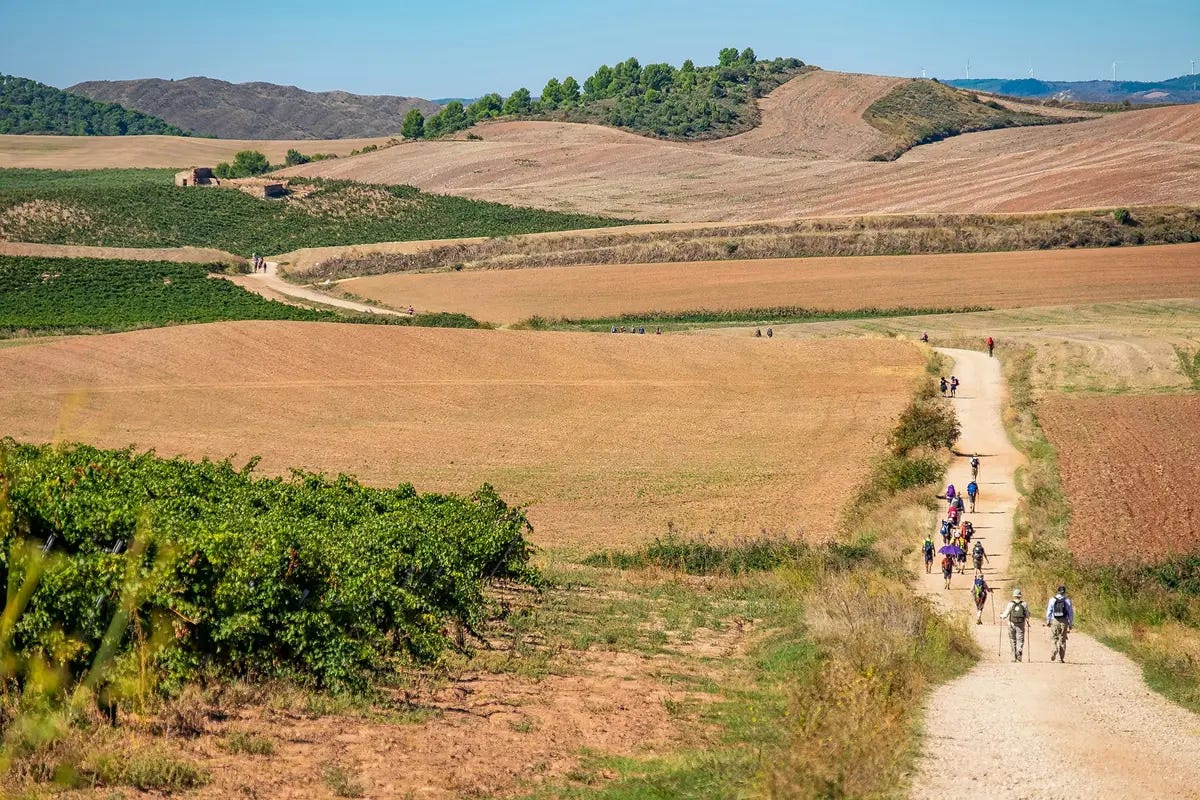 The road less traveled: pilgrims on the Camino de Santiago. (Burkard Meyendriesch/Unsplash)