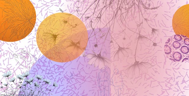 Orange and purple illustrated collage of dandelion seed heads, bare branches, and two figures—on growing older.