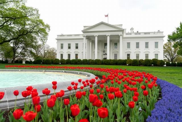<p><em>Image: Trump White House Archived via <a  data-cke-saved-href=