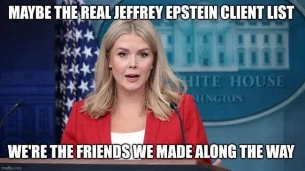 Jeffrey Epstein Memes: The Latest in The Epstein Saga