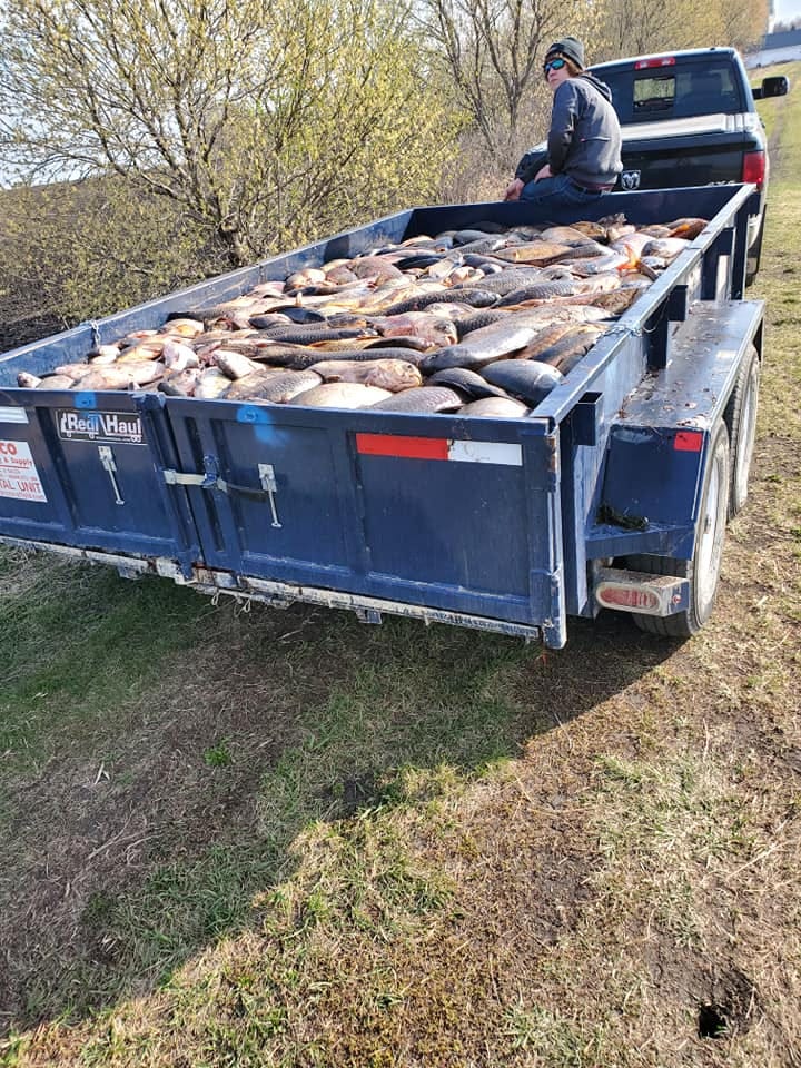 A person in a truck full of fish

AI-generated content may be incorrect.