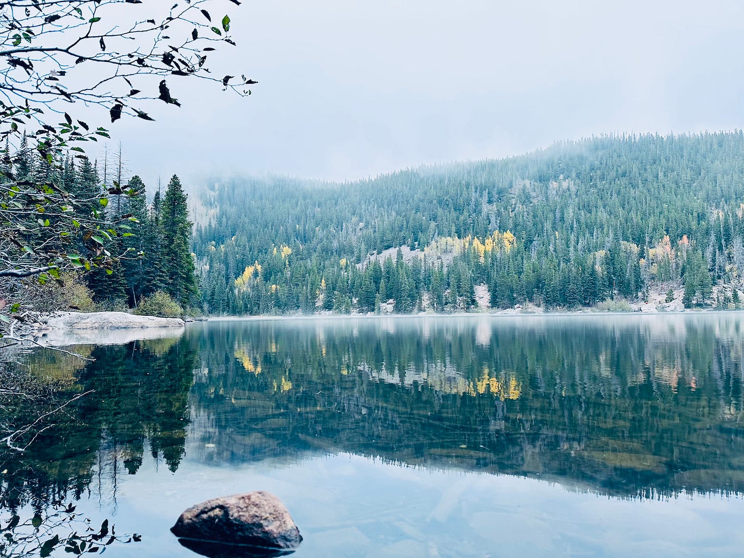 A wintery landscape photo of green pine trees and yellow Aspen trees on a hill surrounding a still, clear lake, which is reflecting the tree'd hillside. The air is misty and the sky is grey.