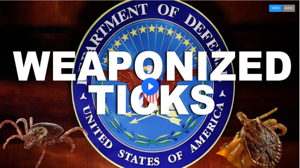 lionessofjudah.substack.com