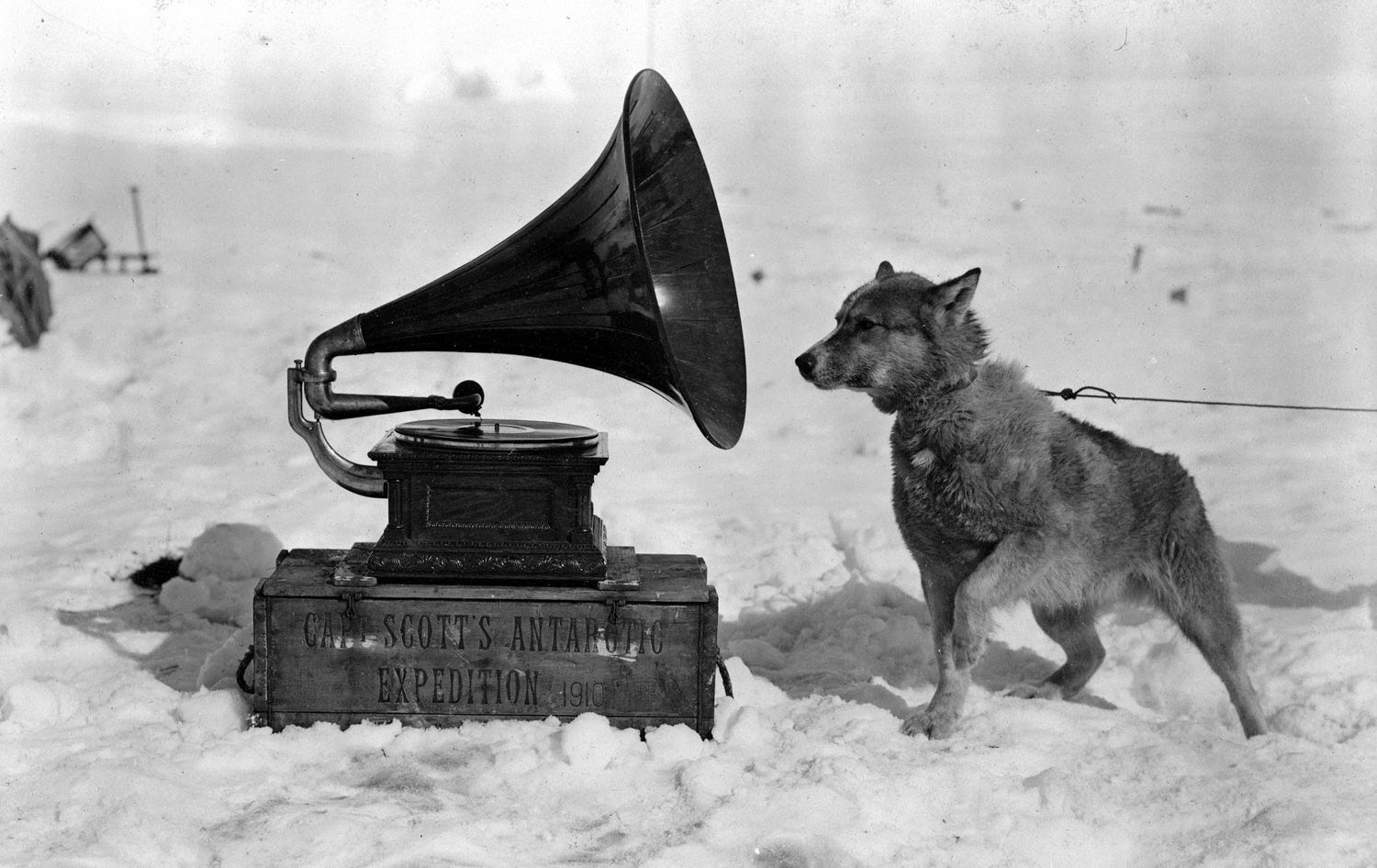The first Antarctic field recording - by Anton Spice