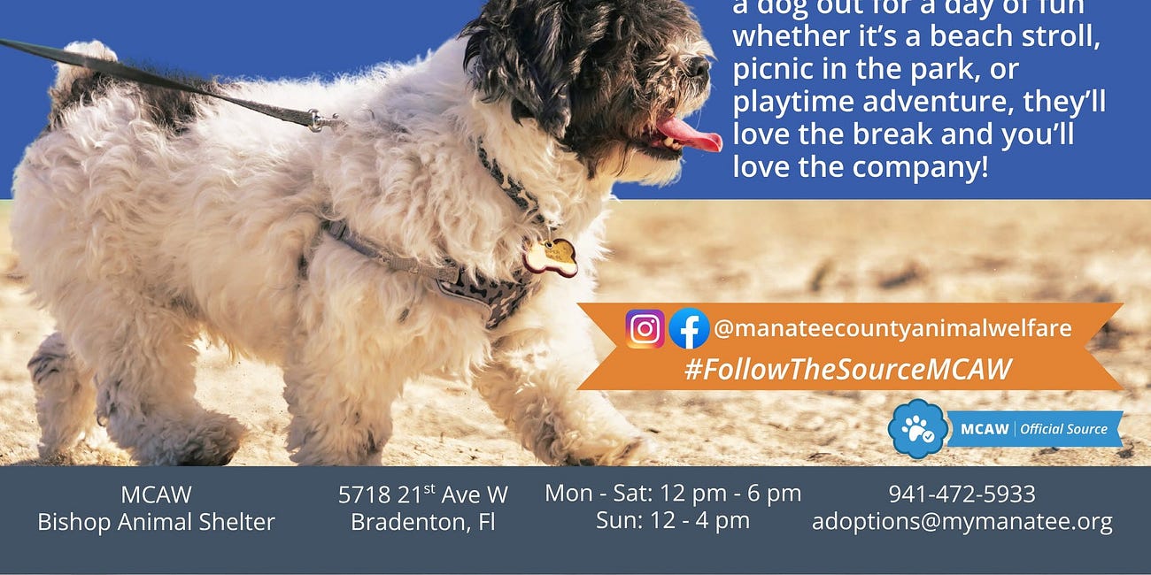 Manatee County Invites Residents to Give Shelter Dogs a Day of Adventure Through Doggy Day Out