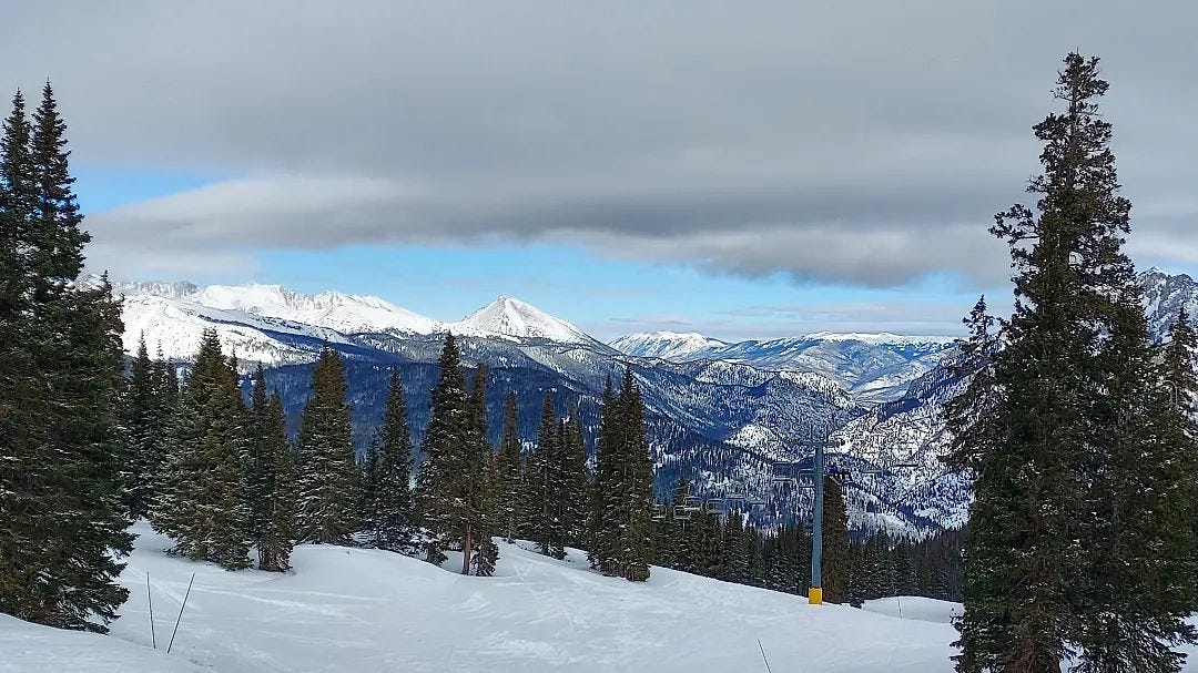 Snowy pine trees in the foreground lead out to snowcapped mountains on the horizon.