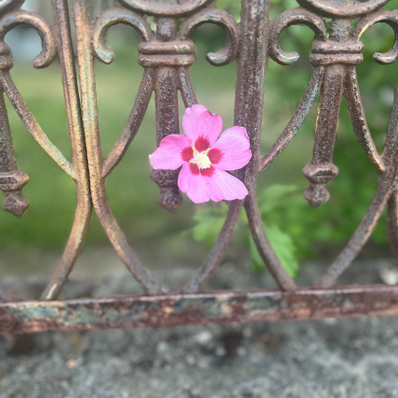 Creative Entrepreneur in Residence 