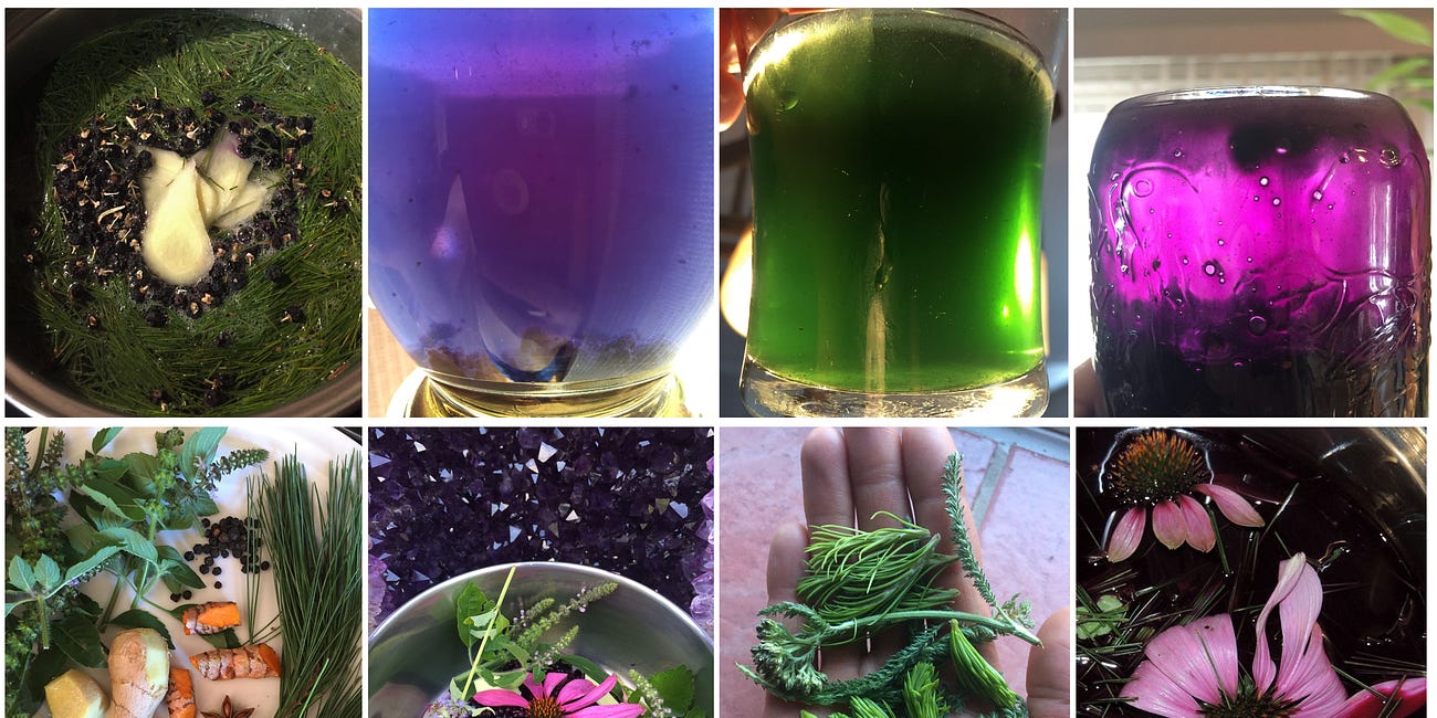 Medicinal Teas - Stacking Functions with Synergistic Herbs to Create Botanical Infusions That Heal and Improve Quality of Life