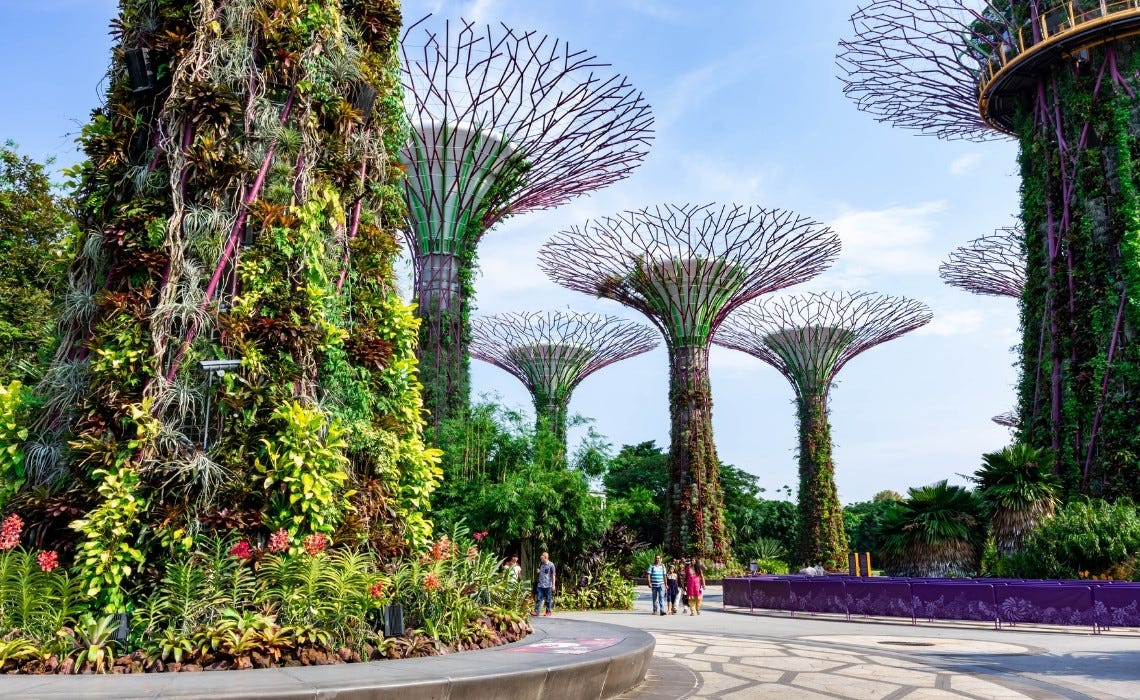 People walking among tall, plant-covered Supertrees at Gardens by the Bay in Singapore on a sunny day.