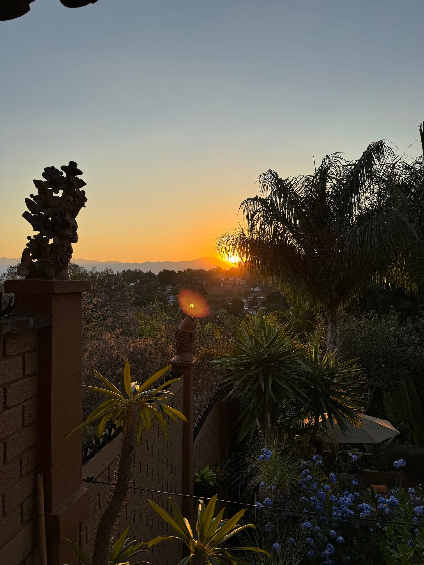 The sun setting in the distance, while in the foreground are many trees.