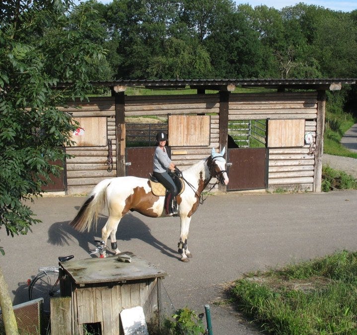 A horse and rider in a stableyard. The horse is a tall brown and white warmblood in English tack. The rider is dressed for a casual hack.