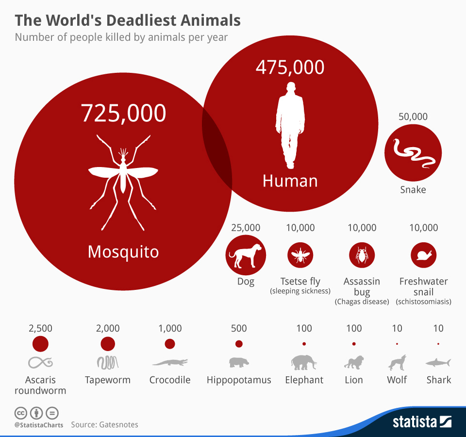 Infographic: The World’s Deadliest Animals  | Statista