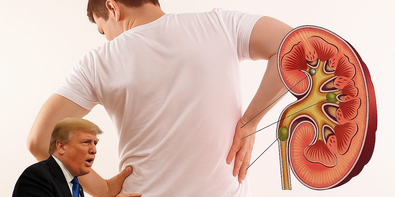 Did Trump Give Me a Kidney Stone?