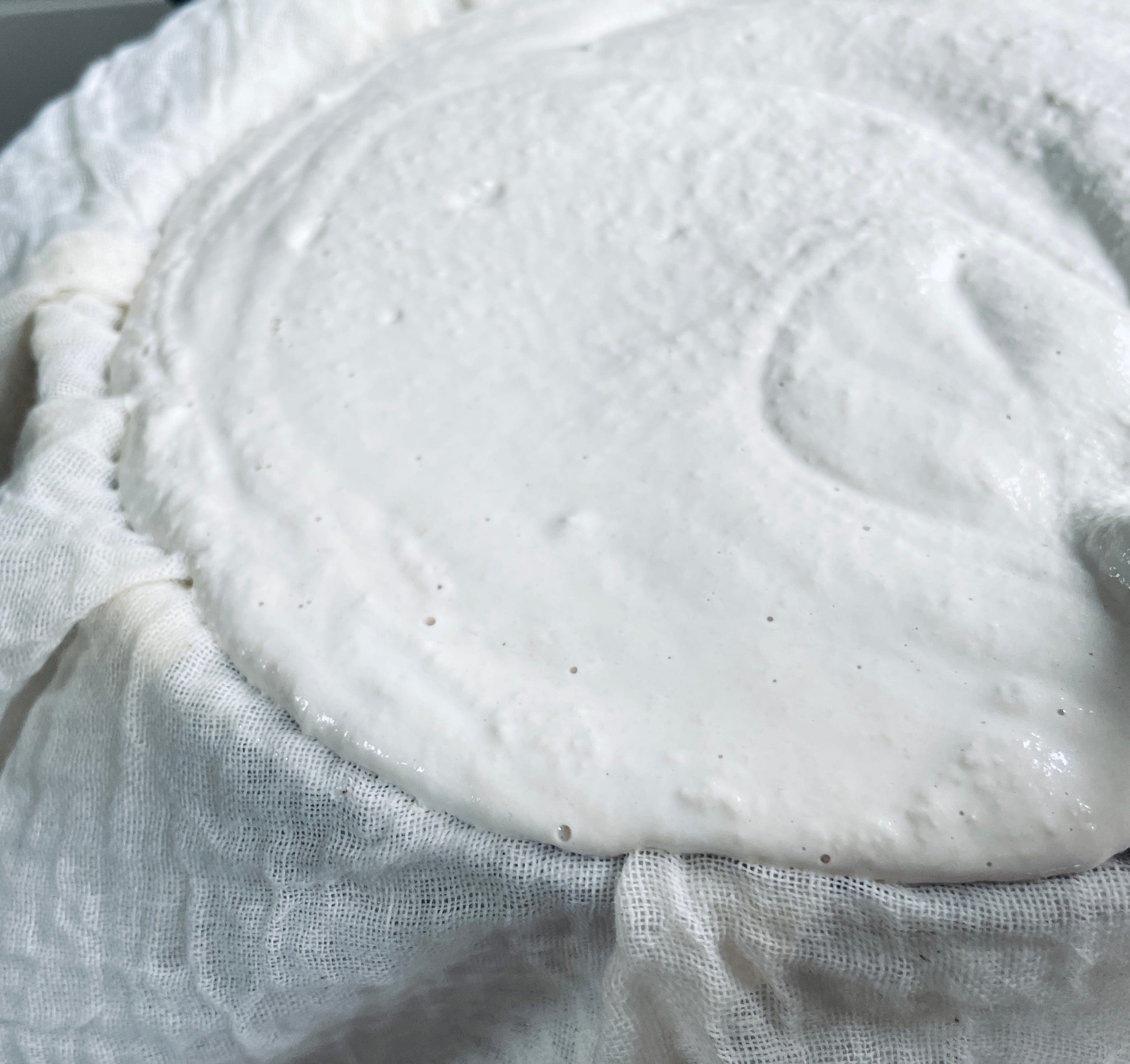 how to: make fermented vegan cheese - by Ellie Phoebe Brown