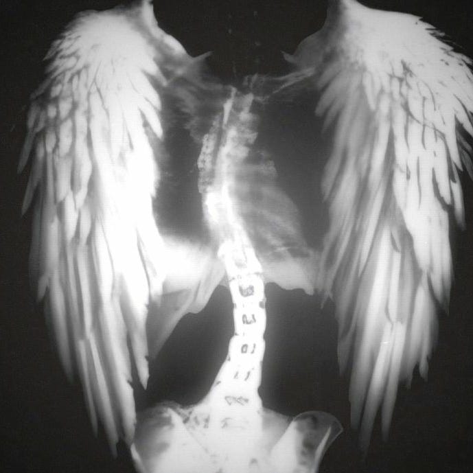 Artwork for pins&needles