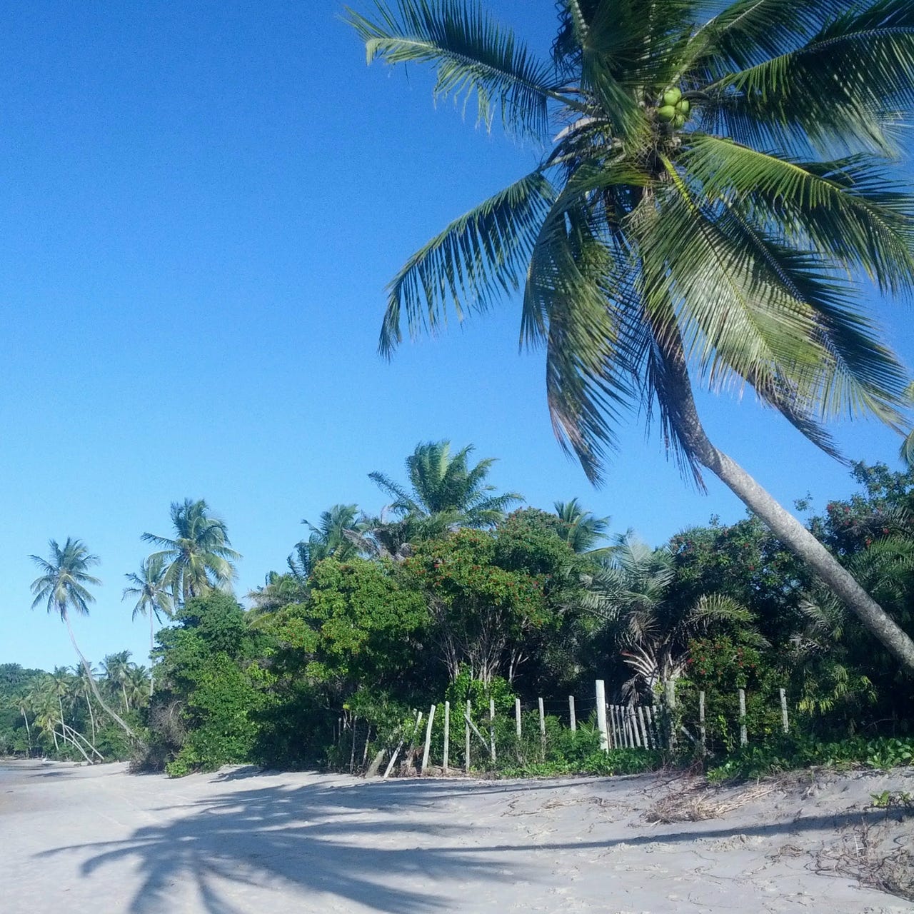 Boletim dos expatriados