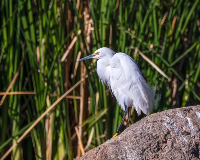 20251219-Sweetwater-116-Edit 3.jpg