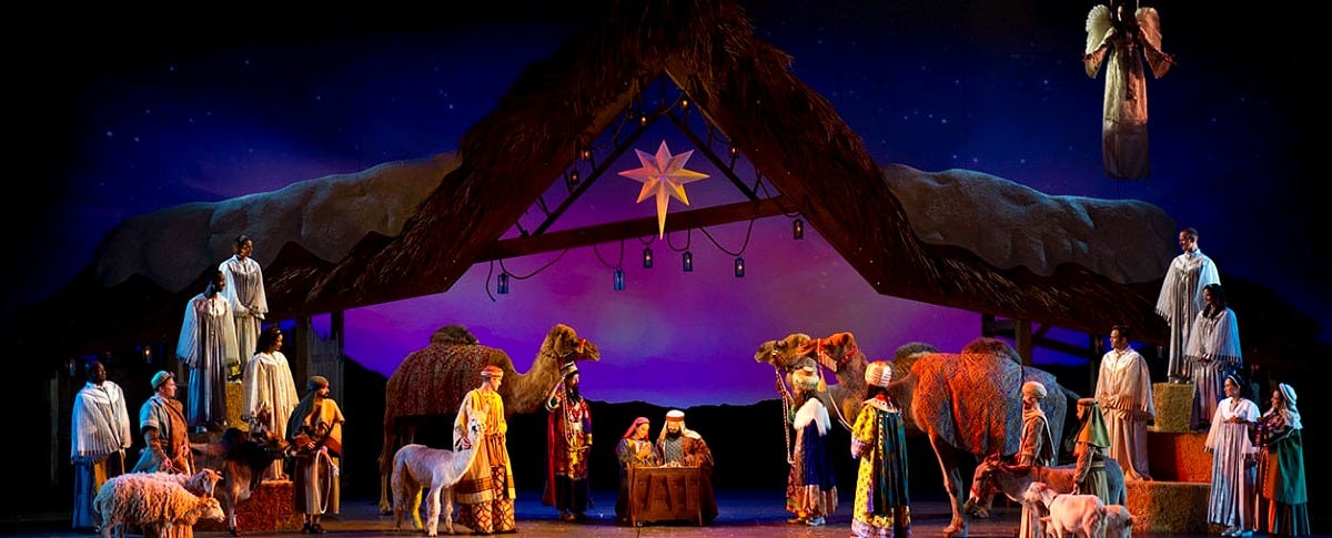 O Wondrous Night at SeaWorld Orlando's Christmas Celebration. Image: SeaWorld Orlando O Wondrous Night at SeaWorld Orlando's Christmas Celebration. Image: SeaWorld Orlando
