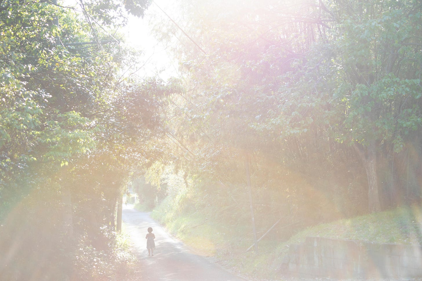 Rinko Kawauchi | Fotografiska Tallinn Rinko Kawauchi | Fotografiska Tallinn