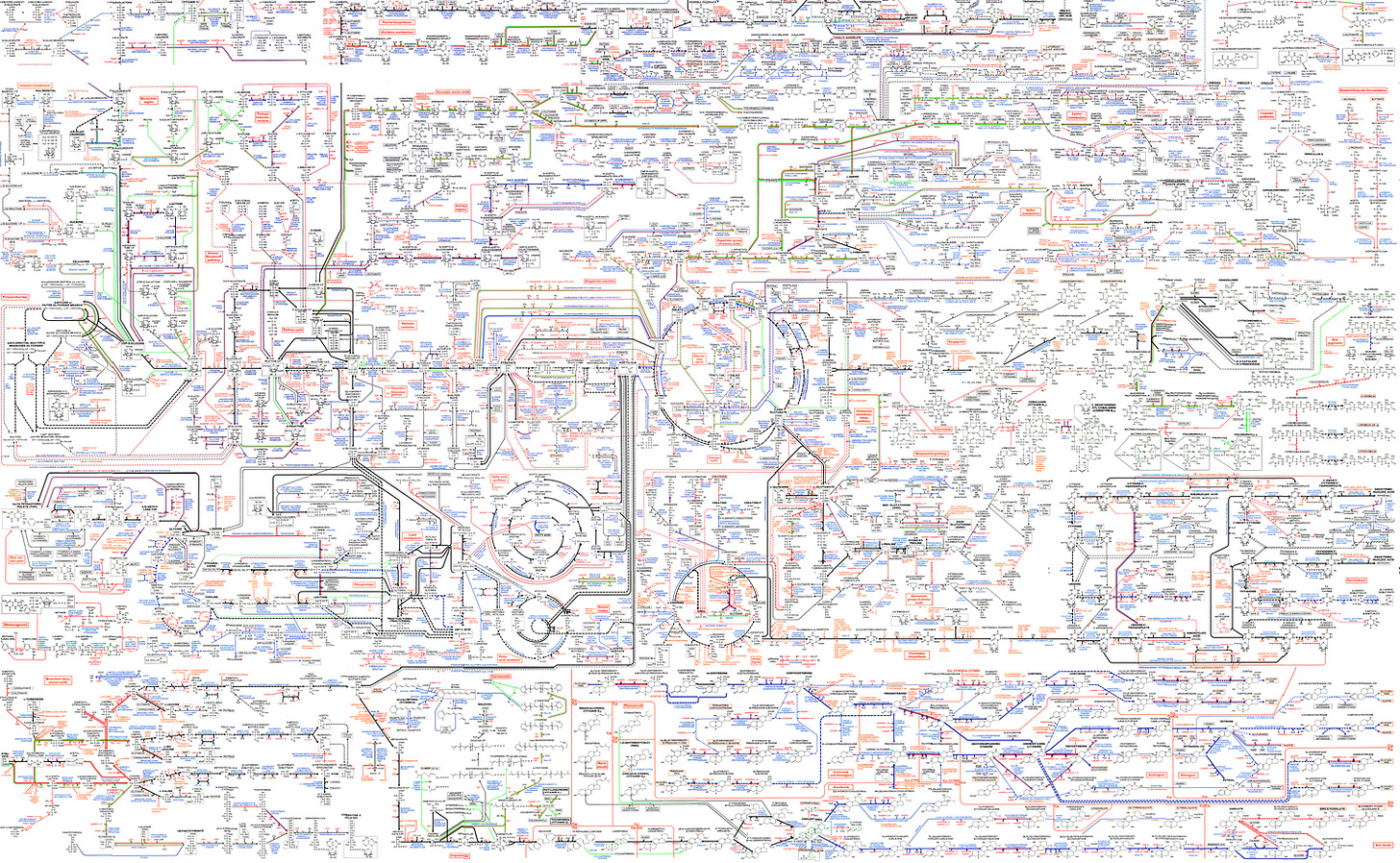 Roche Biochemical Pathways Part 1 Metabolic Pathways