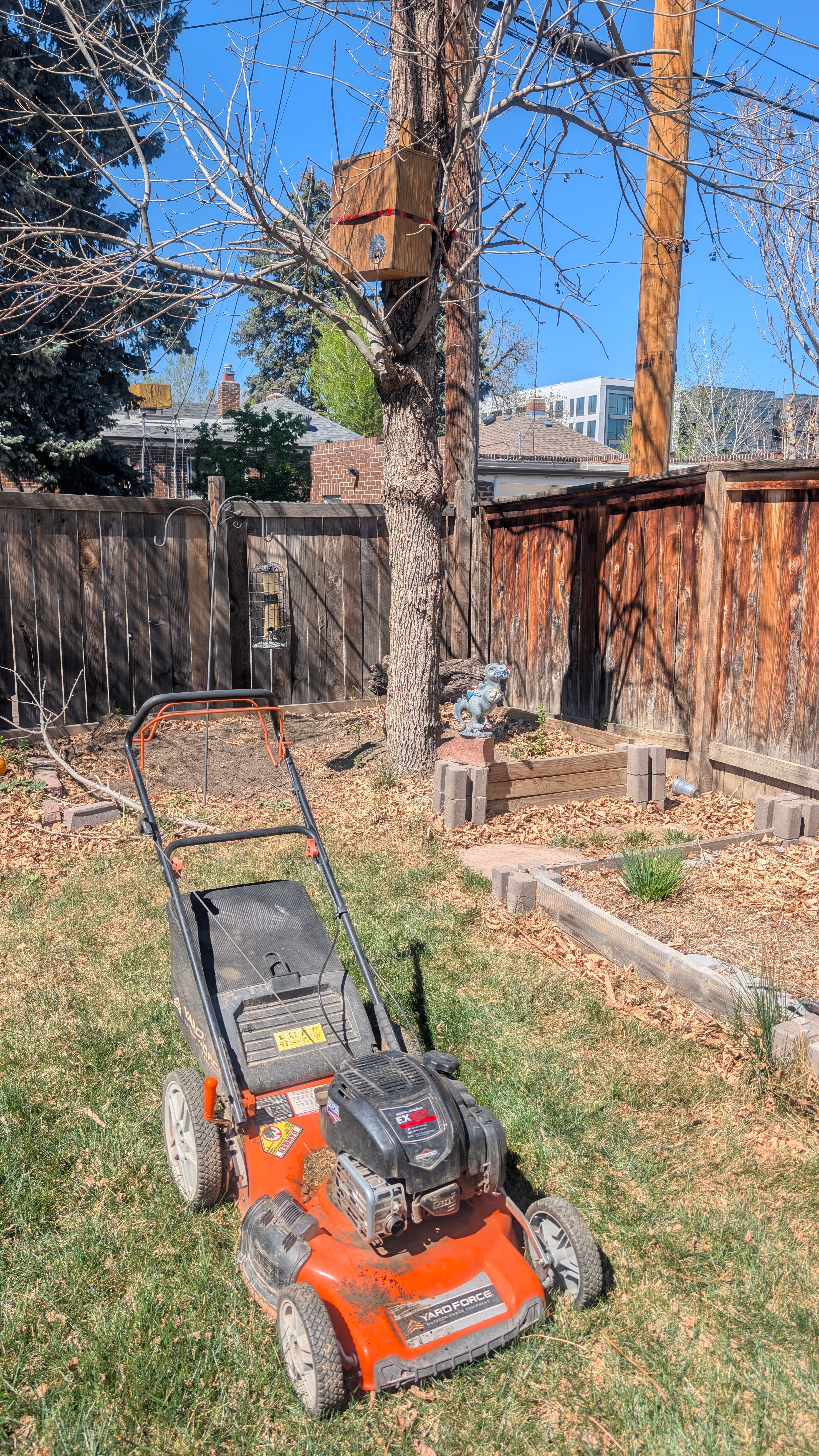 EarthStuff - I guess it is #spring in Denver :(