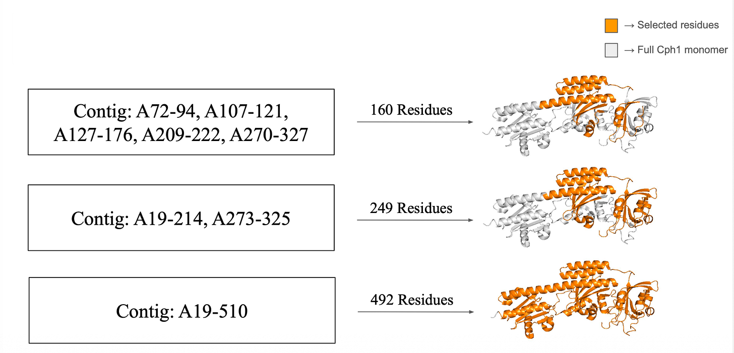 The three target-context options tested before the full RFdiffusion3 run The three target-context options tested before the full RFdiffusion3 run