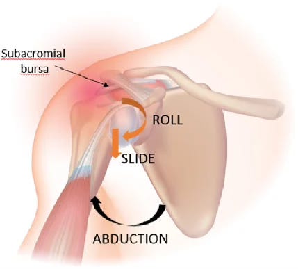 shoulder arthrokinematics diagram shoulder arthrokinematics diagram
