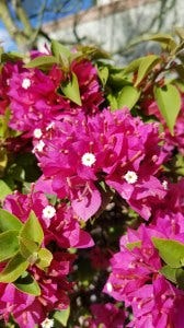 20180420_162528