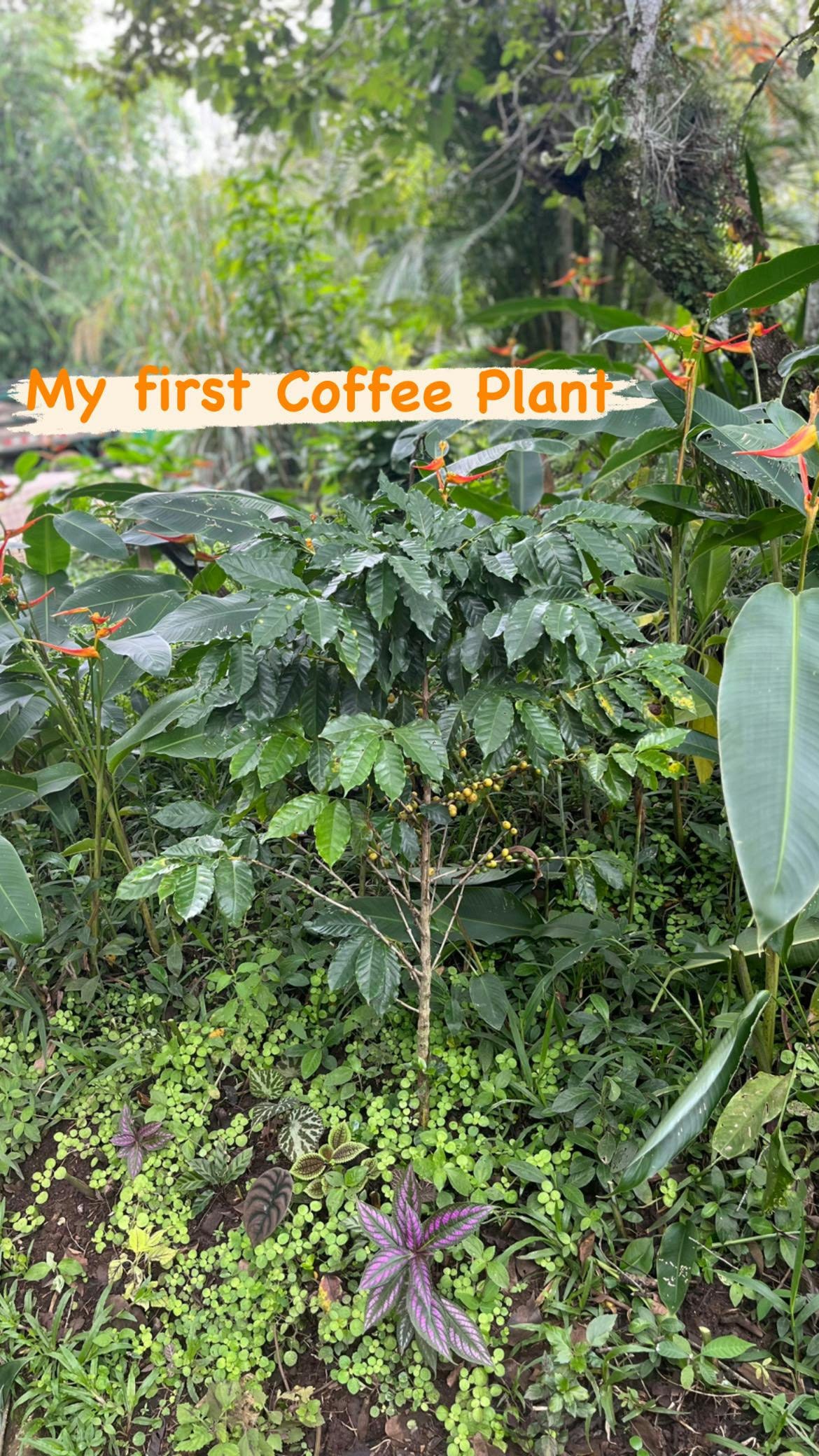 039: The Truth Shall Set You Free 039: The Truth Shall Set You Free