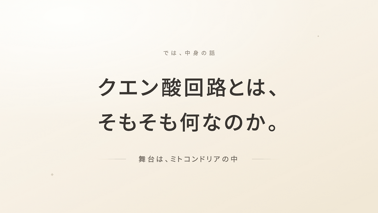 ミトコンドリアマトリックスATP | 精密栄養学