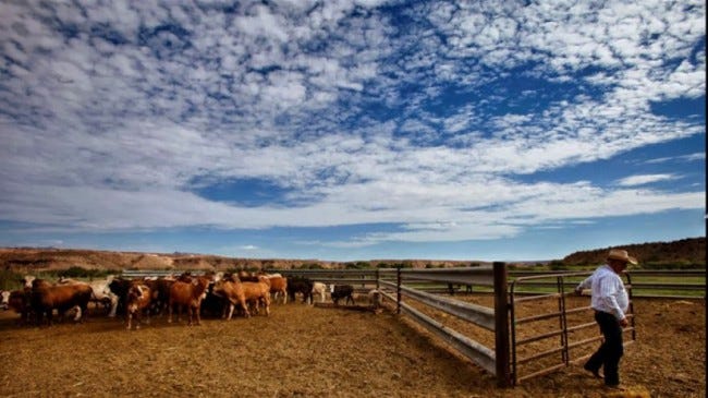 bundyranch2 bundyranch2