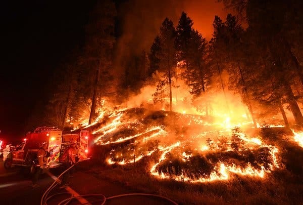 Firefighters battling the Carr fire near Redding, Calif., last month. 