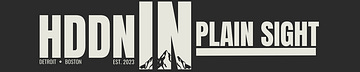 Hidden In Plain Sight
