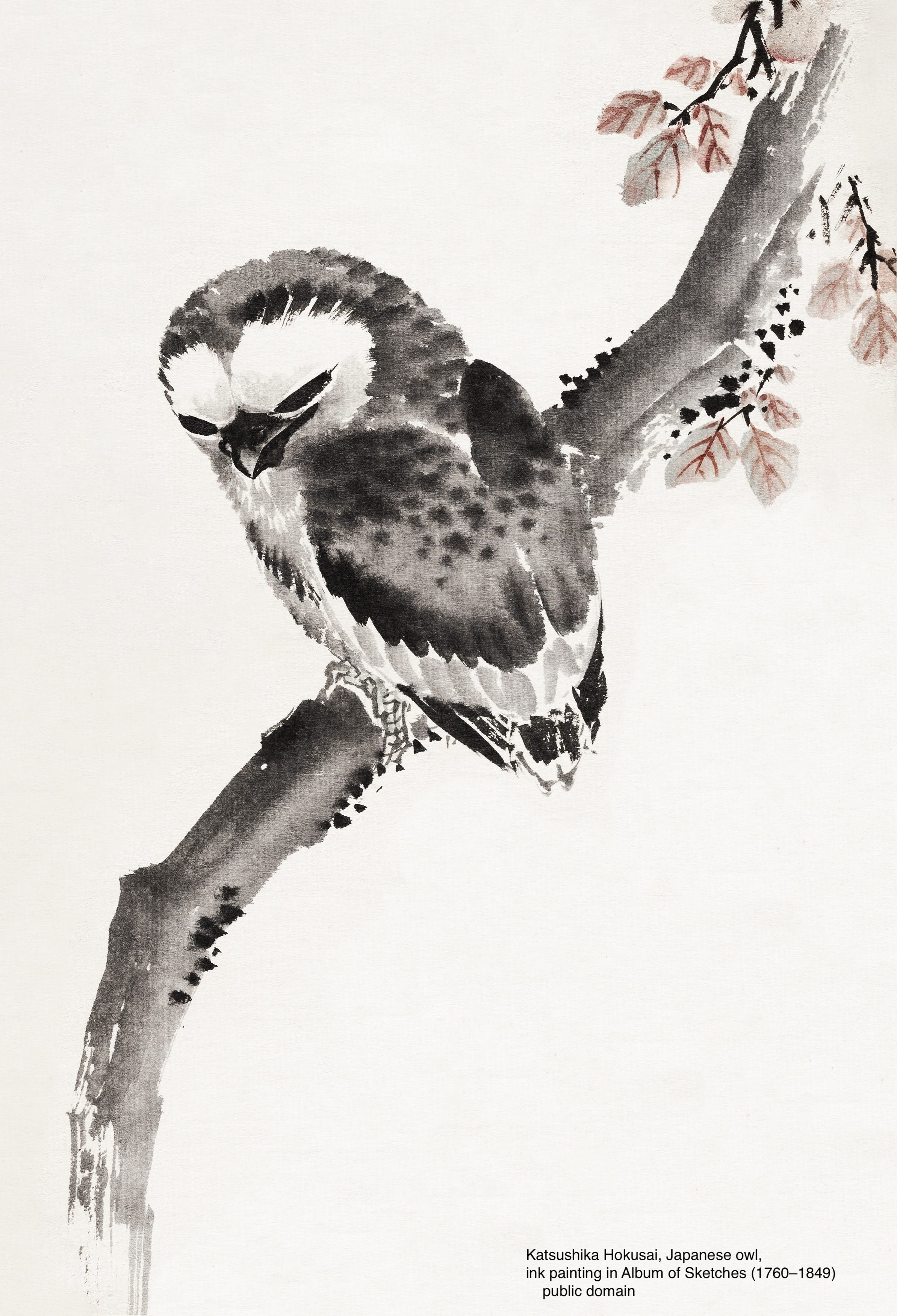 Upcycling Ecopoetry & Wildcrafting the Future