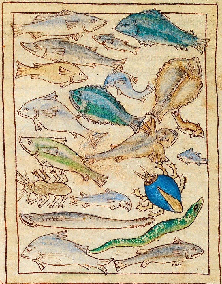 page5image63995904