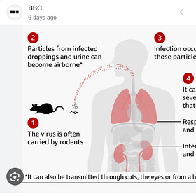 Hantavirus, What You Need to Know