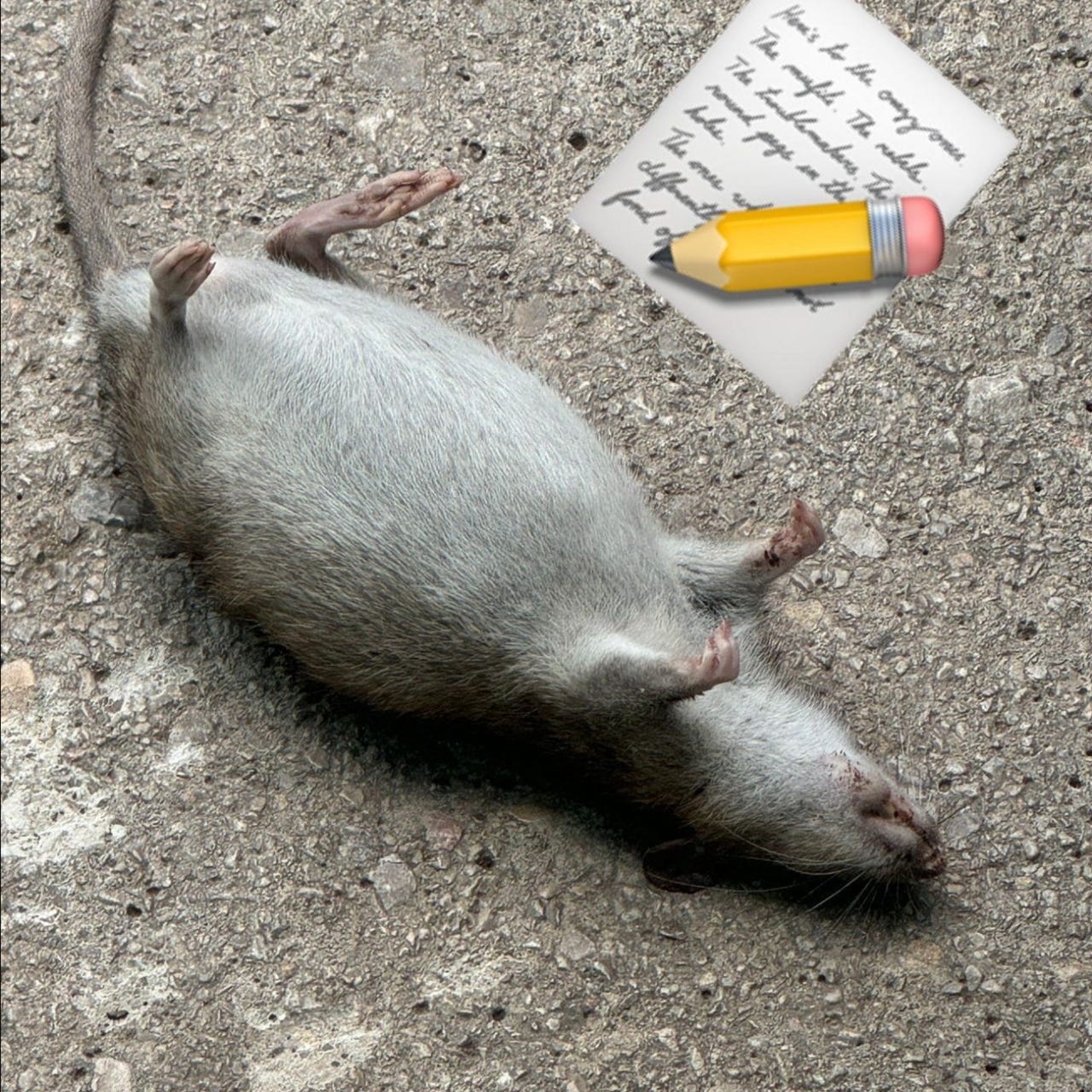 El OnlyRats de Edu Hirschfeld