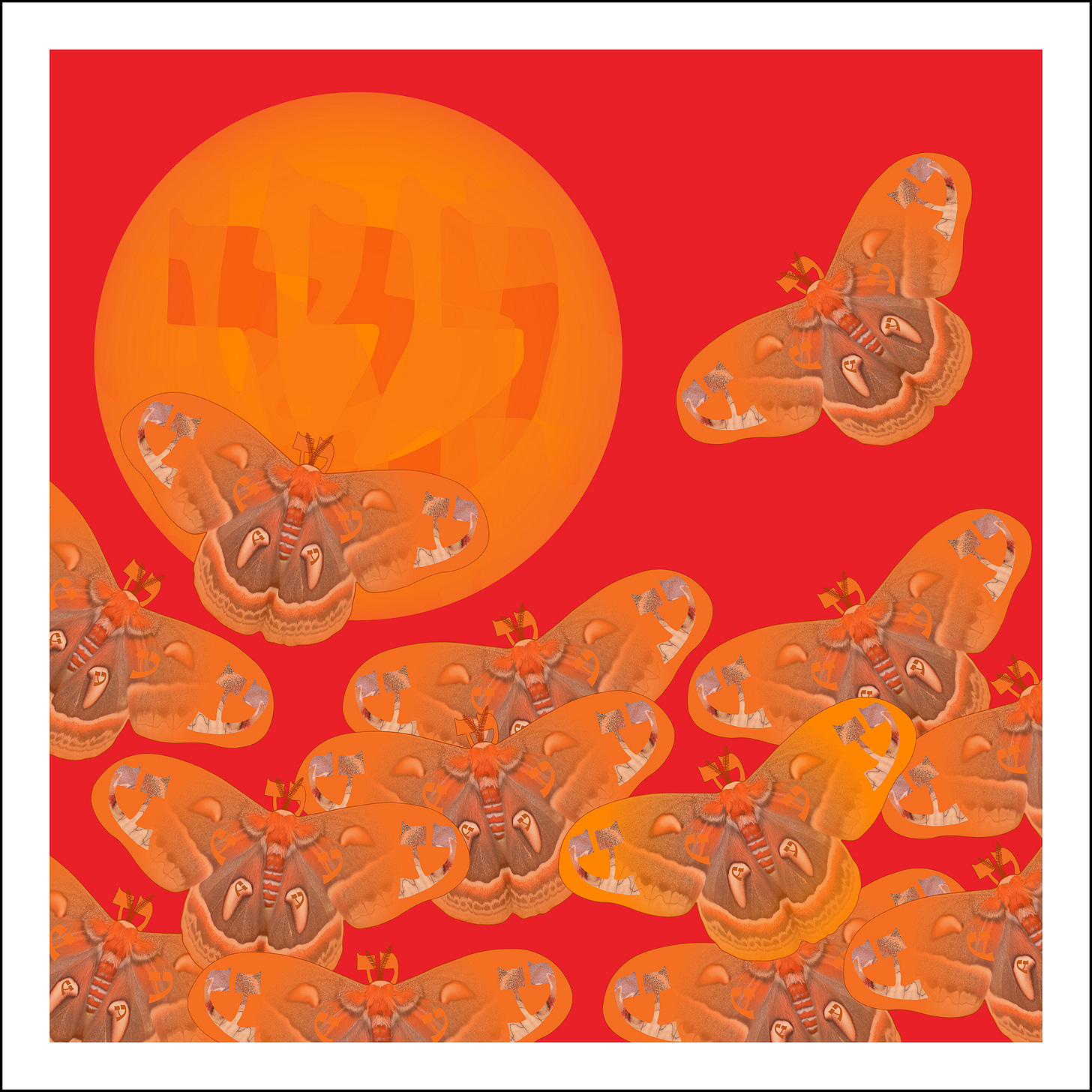 02. Red Orange, Series Six of Rainbow Squared. A flat red background with thirteen moths colored in orange with the Hebrew letter Ayin on their wings fly toward an orange orb with the Hebrew letter Shin inside of it.