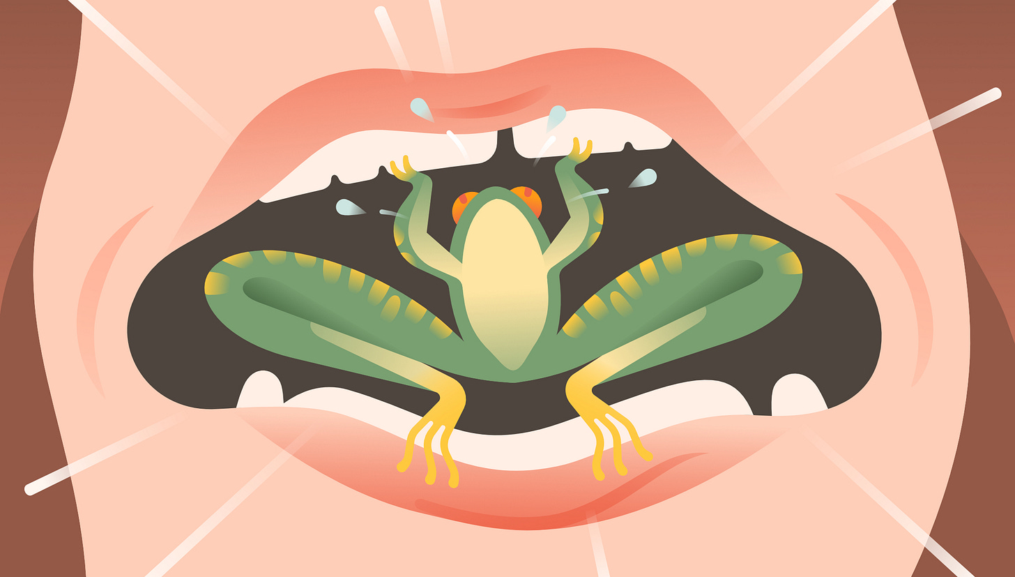 Illustration by Catarina Mouta