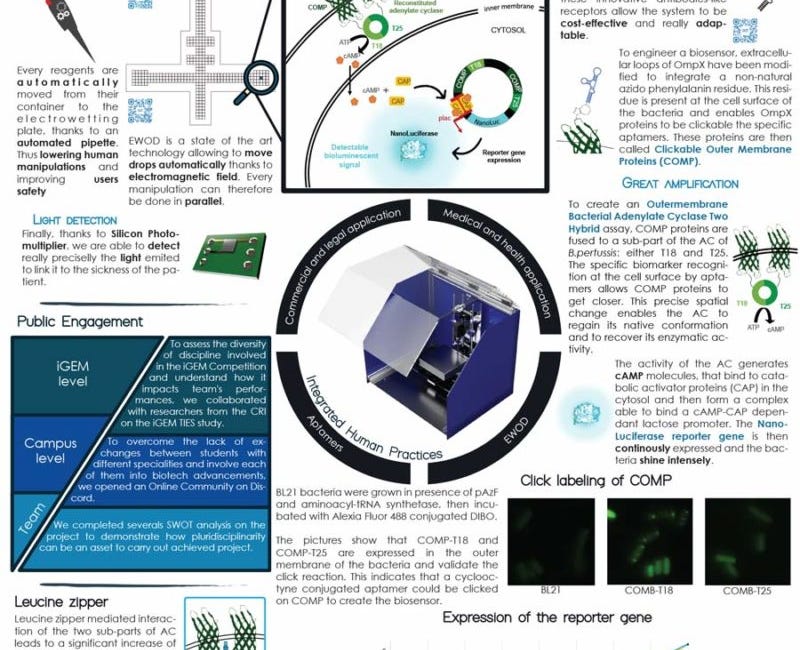 Remember That Time When Fact Checkers Said That “Luciferase” In the Shots Was Just a “Conspiracy?” SURPRISE! (Wait. You're supposed to be surprised....)