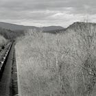 Our Business is Making Money