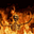 Stan_R's avatar