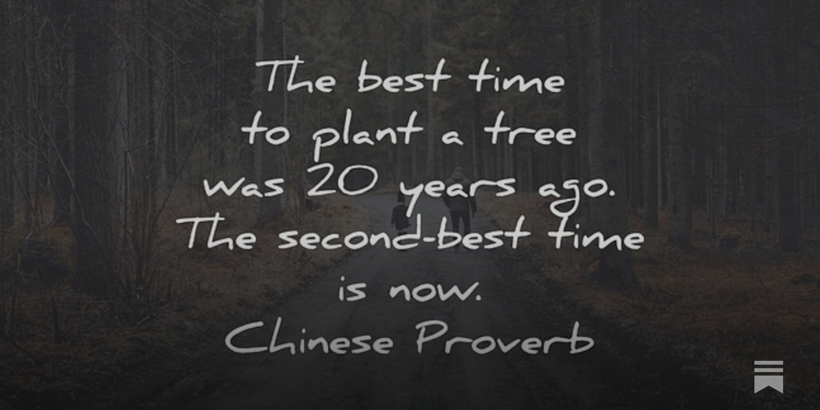 The best time to plant a tree - The Daily Wisdom Quotes