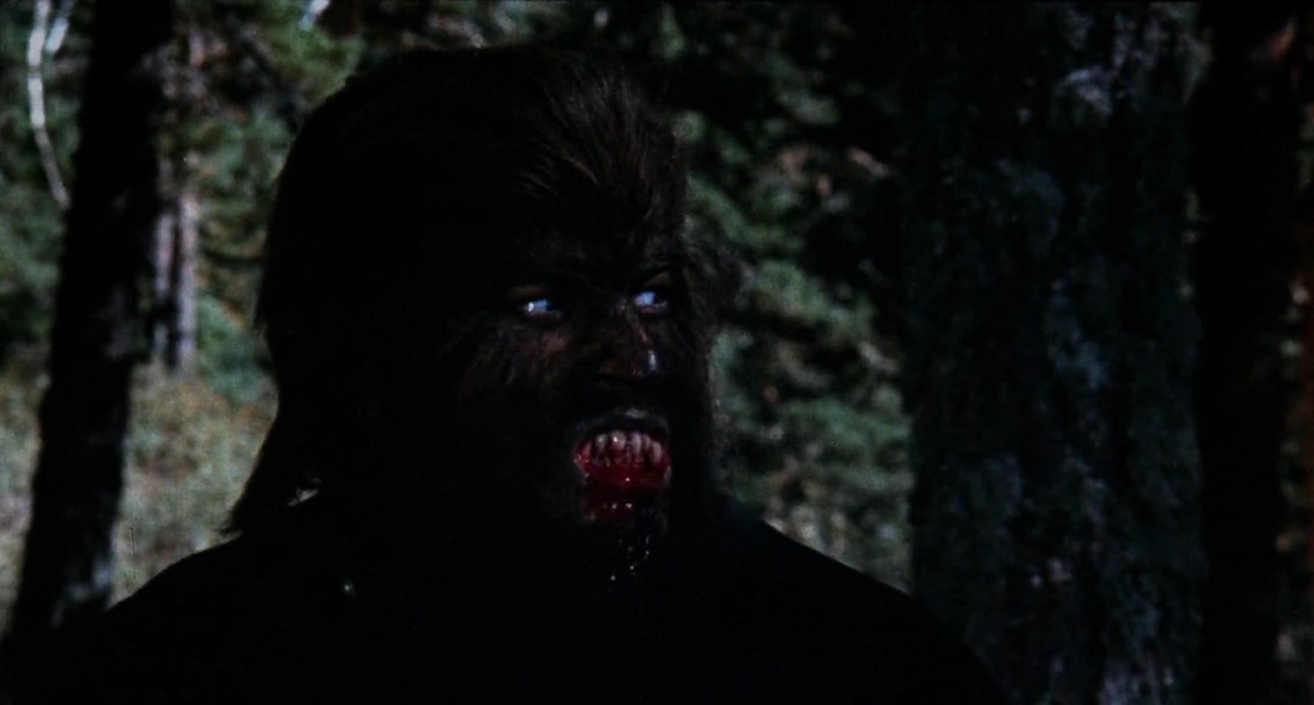 Paul Naschy as El Hombre Lobo, Waldemar Daninsky in The Werewolf Versus The Vampire Woman