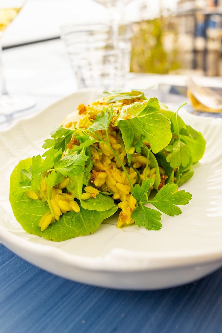 L-R: Orzo with butter lettuce, rigatoni cacio e pepe en vesse