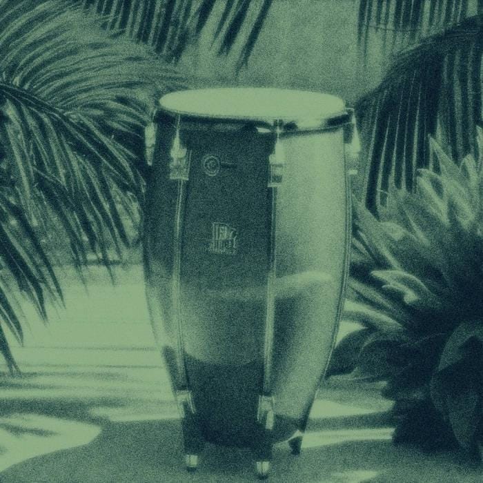 A large drum in front of palm trees

Description automatically generated