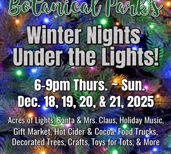 Winter Nights Under the Lights Returns to Palma Sola Botanical Park